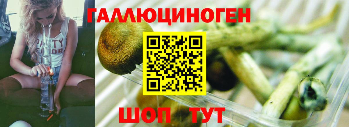 Ялуторовск  Псилоцибиновые грибы Psilocybine cubensis  Вход с VPN 